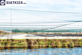 Siatki Łęczna - Siatka ochronna na zbiornik z rybami, efektywne zabezpieczenie przed ptakami dla terenów Łęcznej